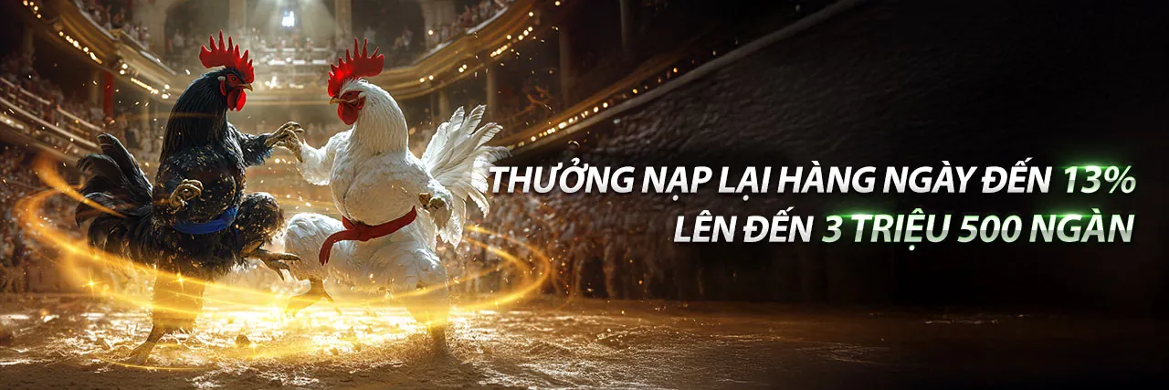 Đấu trường đá gà trực tiếp sôi động tại C7clubs
