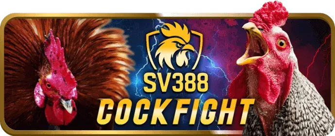 Đổi DNS để truy cập c7clubs
